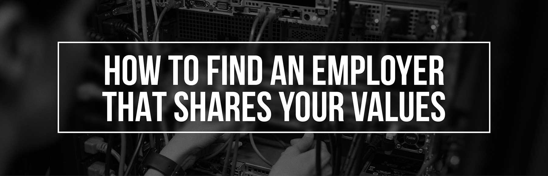 how-to-find-employer-shares-values