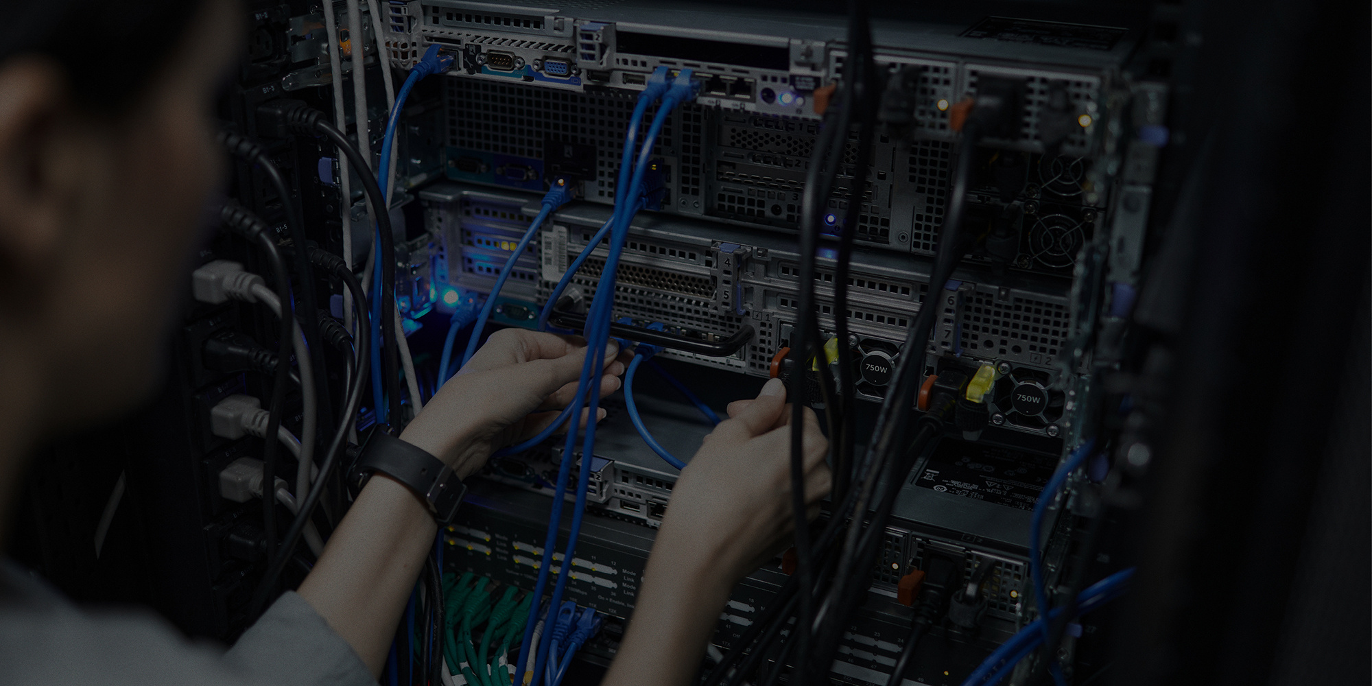Top 5 Tips to Immerse Yourself in the Cybersecurity Field